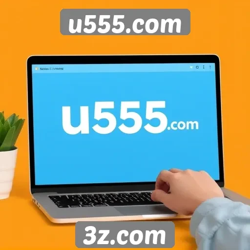 Análise das principais funcionalidades do site u555.com
