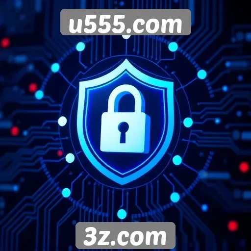 Análise da segurança em transações no u555.com